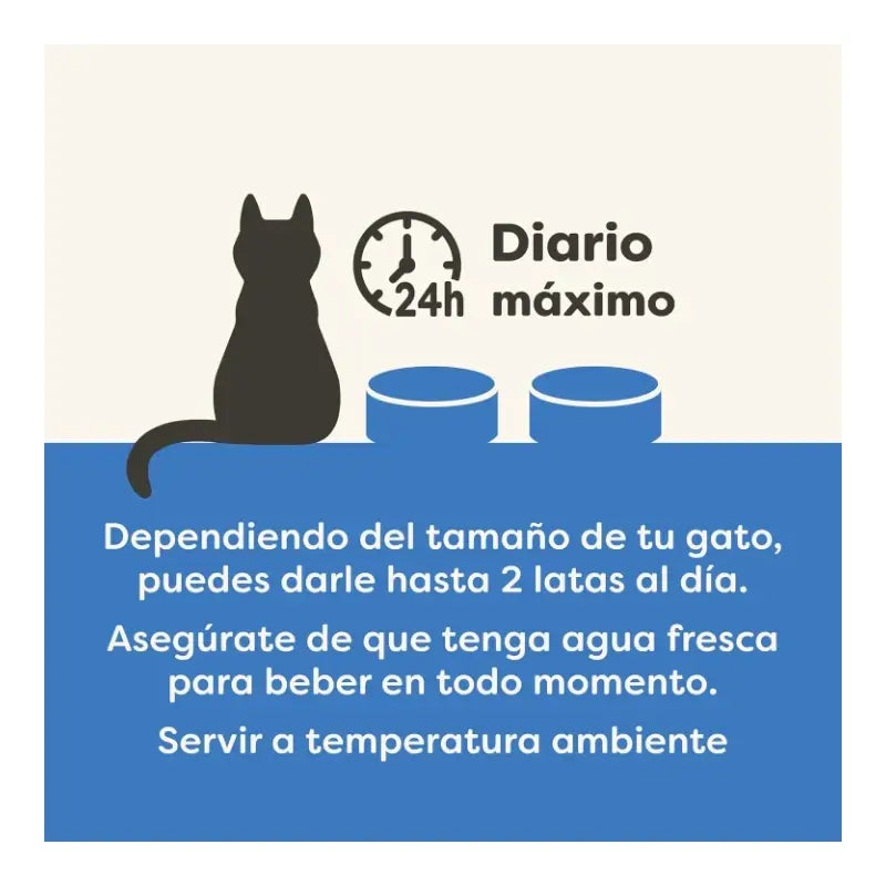 Applaws Cat - Assortiment de conserves de poisson en sauce, lot de 12 x 70 g