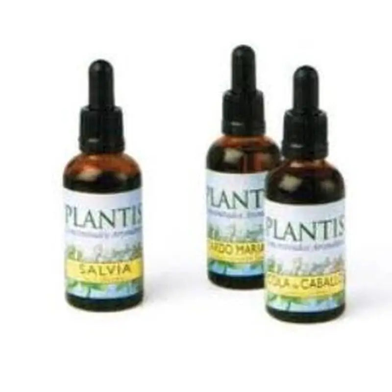 Artesania Ext.Sarsaparilla 50Ml Maese Herbario