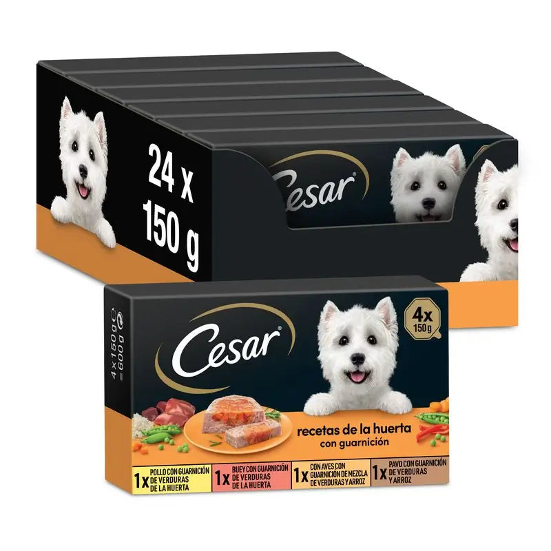 Cesar Multipack Garden Selection Box 6X4X150Gr