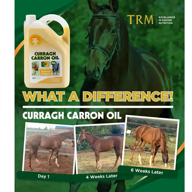 Curragh Carron Oil 4,5 Litres. Oméga 3-6