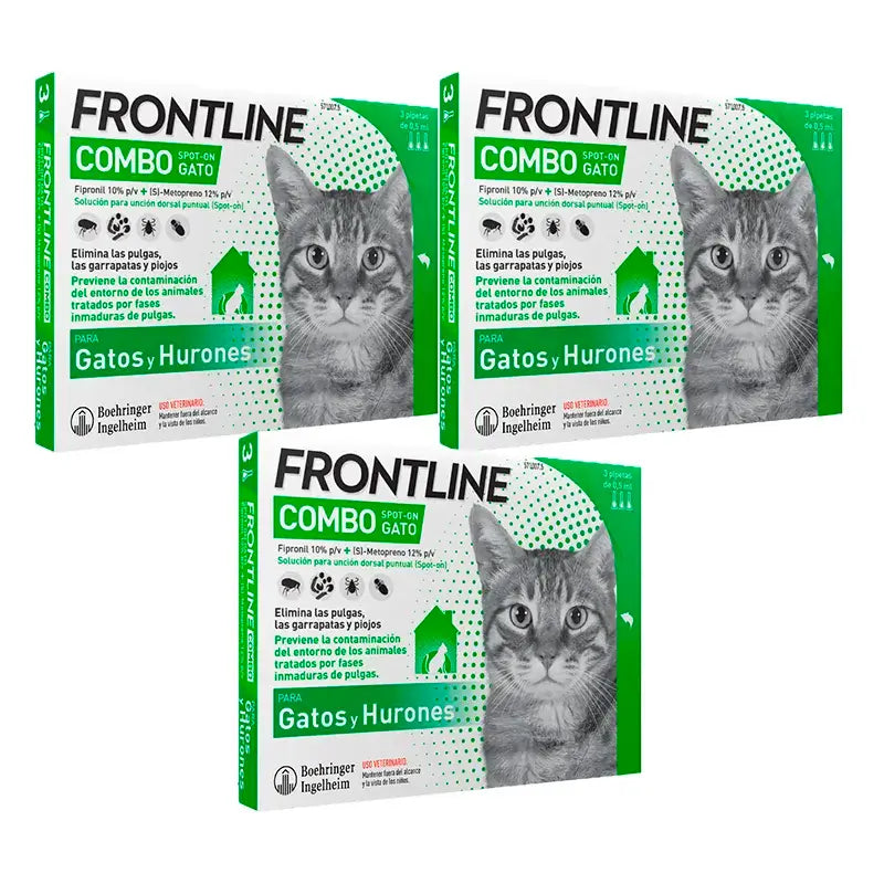 Frontline Combo Chats & Furets Spot On, Pack 3 x 6 Pipettes x 0,5 ml