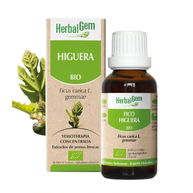 Herbalgem Gouttes de figuier, 15 ml