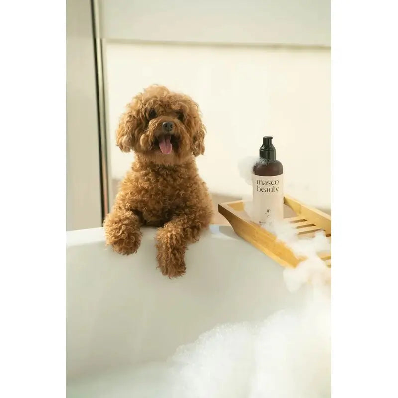 Masco Beauty Shampooing Détox à l'Aloe Vera pour chiens, 250ml