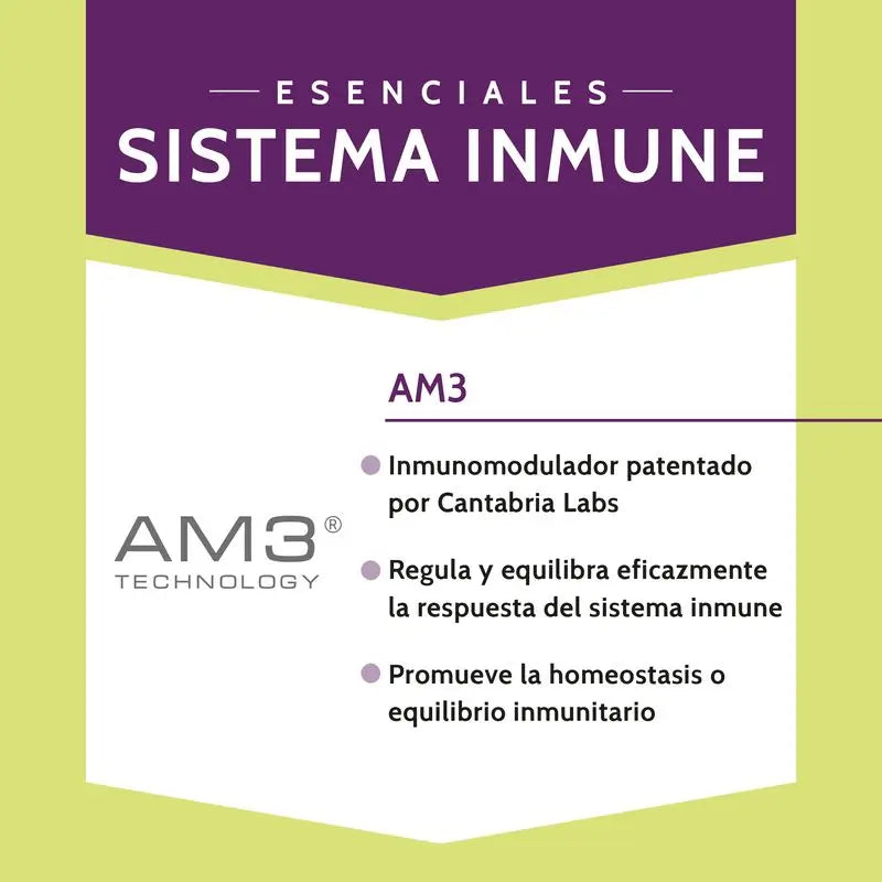 Stangest Minsal Mer Chien Chat, 30 Comprimés