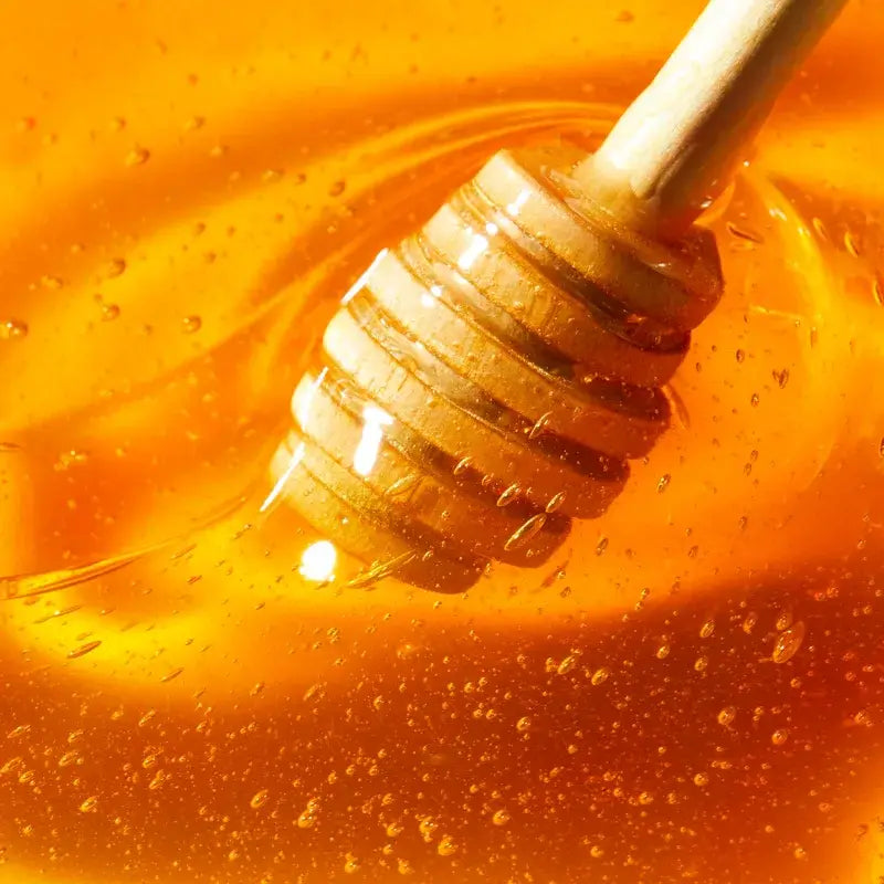 Nuxe Rêve de Miel Baume à lèvres au miel ultra-nourrissant et réparateur 15 ml