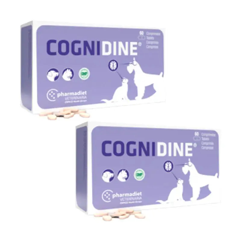 Cognidine Pack, Pack 2 x 60 Comprimés