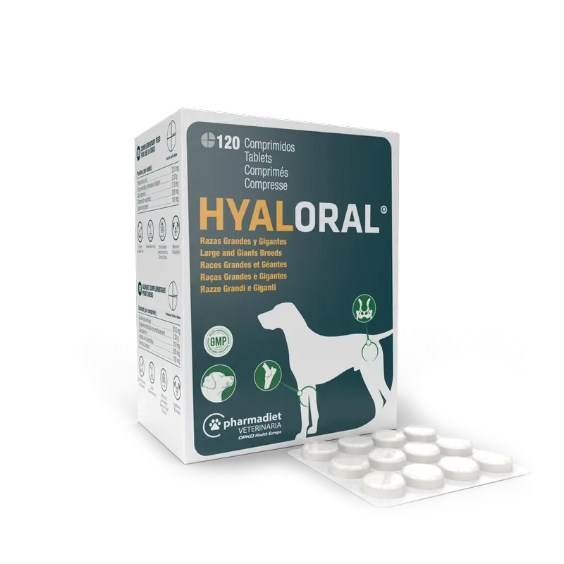 Hyaloral Grands Chiens 120 comprimés