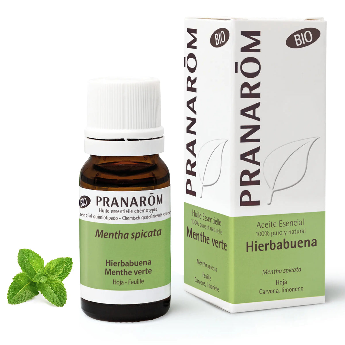 Pranarom Peppermint Essential Oil, 10ml
