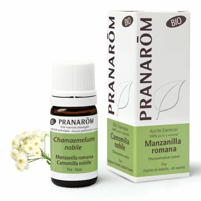 Pranarom Chamomile Noble Essential Oil Bio, 5 ml