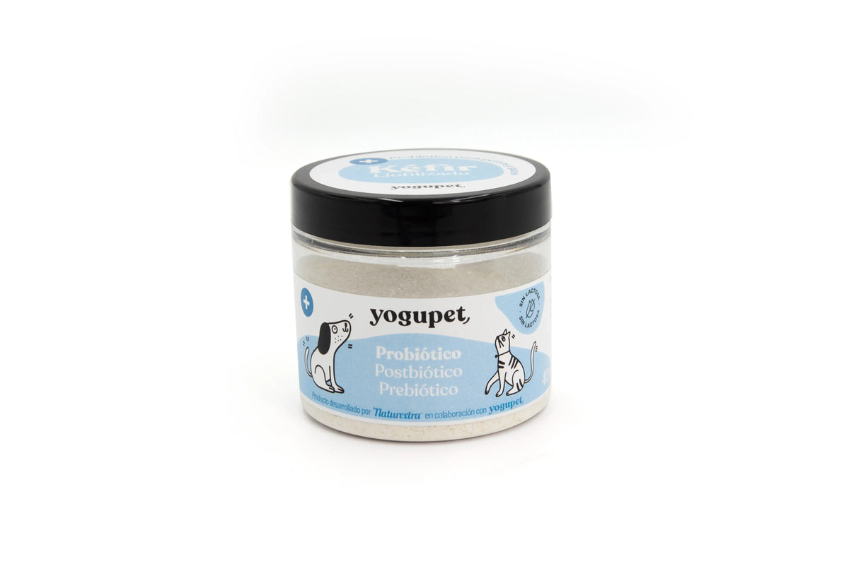 Yogupet Kefir Lyophilisé Prob. Postbiotique Prébiotique 40Ml