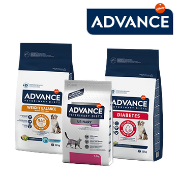 AFFINITY - ADVANCE 15% (8 JUNIO 2026)