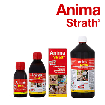 STANGEST ANIMA STRATH HASTA 20% DTO. (31 MARZO 2026)