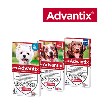 ELANCO - ADVANTIX ANTIPARASITARIOS (31 DICIEMBRE 2026)