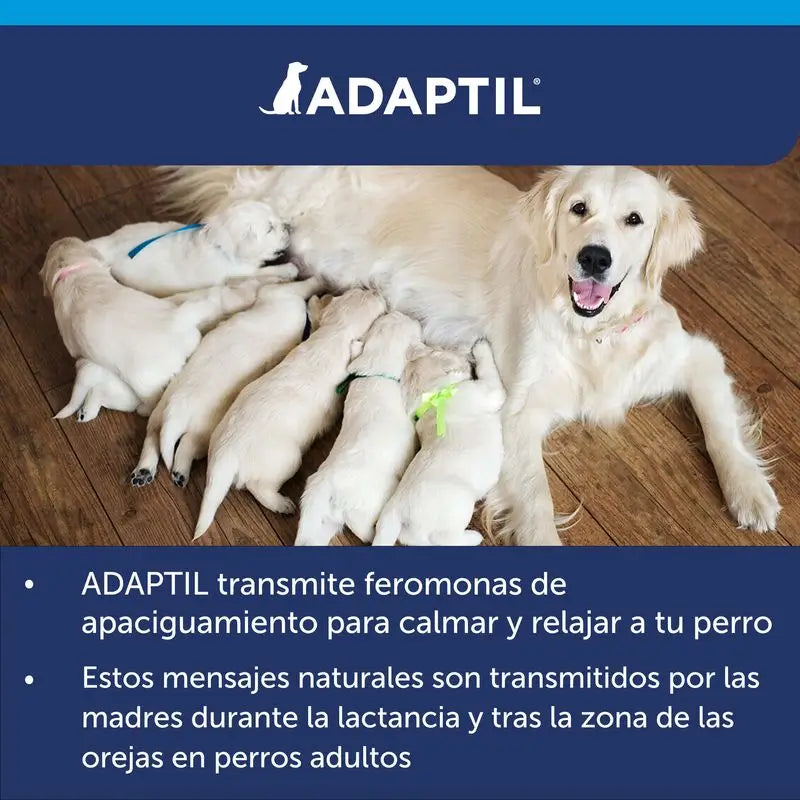 Adaptil Calm Diffuseur + Recharge 48 ml, 1Mois