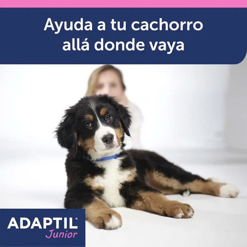 Collier Ceva Adaptil Junior