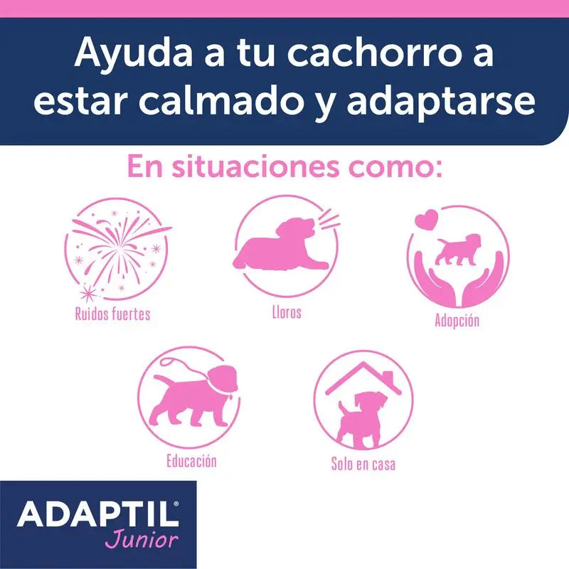 Collier Ceva Adaptil Junior