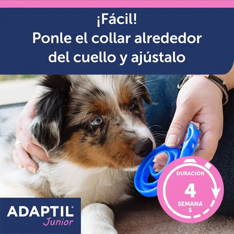 Collier Ceva Adaptil Junior