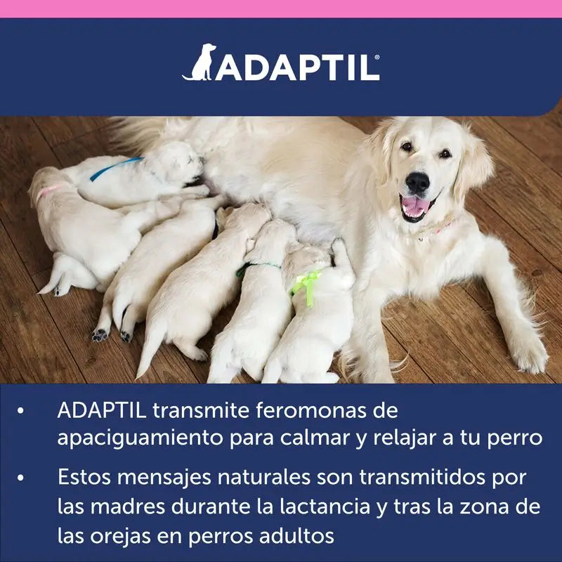 Collier Ceva Adaptil Junior