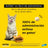 AdTab 12Mg Comprimés à croquer Chats 0,5-2Kg, 1Cpd