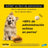 Adtab 450Mg Comprimés à Croquer Chiens 11-22Kg, 2 Comprimés