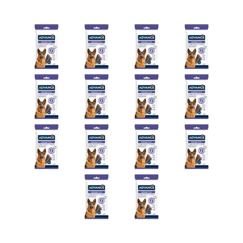 Advance Articular Stick, 155 g, lot de 14