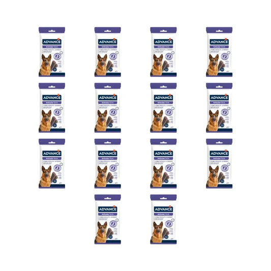 Advance Articular Stick, 155 g, lot de 14