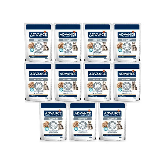 Advance Nourriture humide pour animaux de compagnie, en portions individuelles, 11 x 100 g
