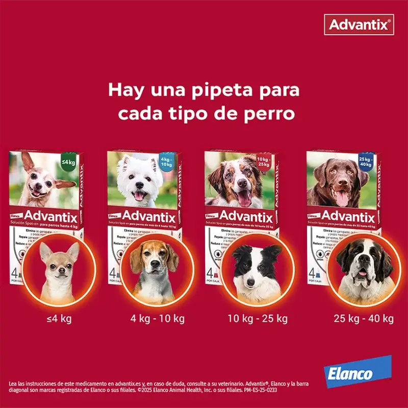 Pipettes antiparasitaires Advantix pour chiens de 4 à 10 kg, 8 unités x 1 ml