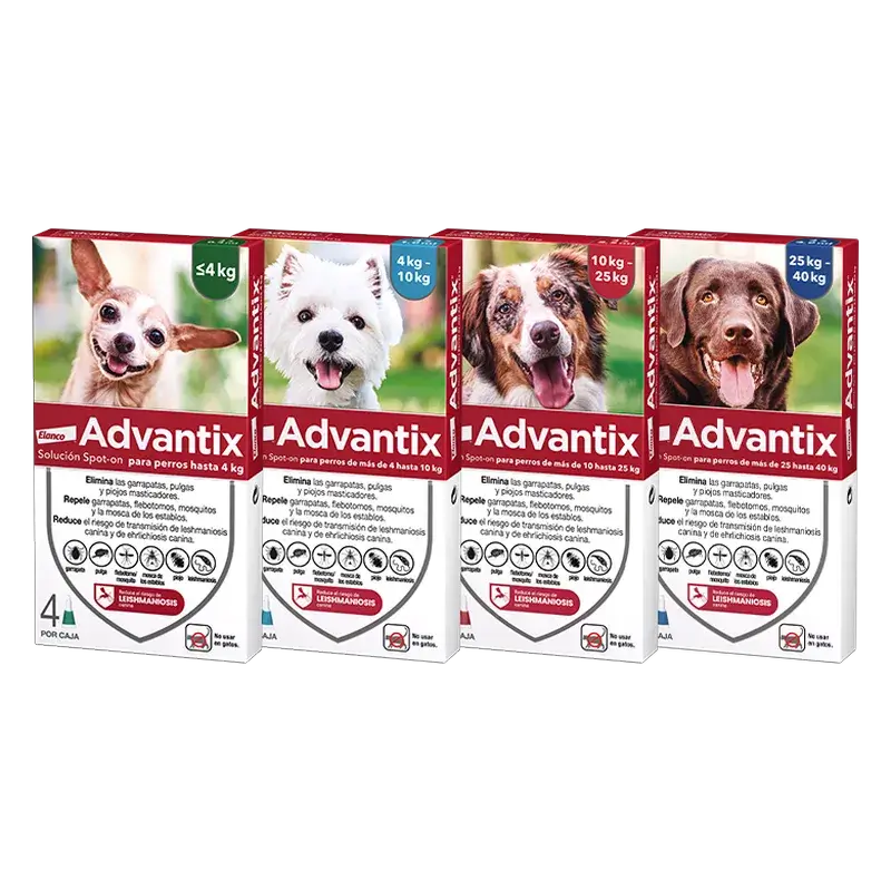 Pipettes antiparasitaires Advantix pour chiens jusqu'à 4 kg, 8 unités de 0,4 ml