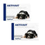 Aktivait Chien de Grande Race Blister, Pack 2 x 60 Comprimés