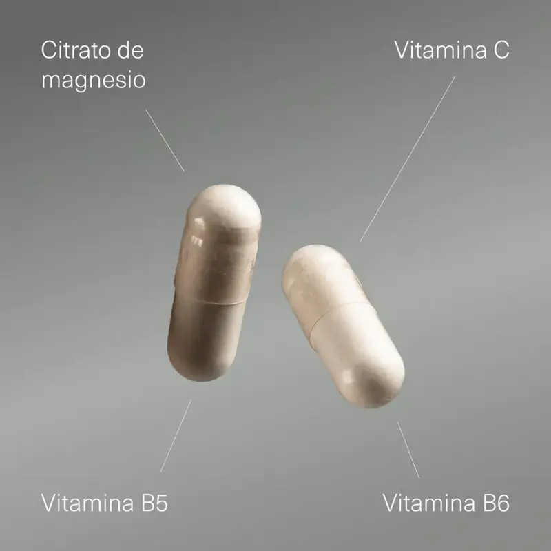 Aldous Labs Complément Alimentaire Magnésium Avec Vitamine C, B5 & B6 , 200 gélules