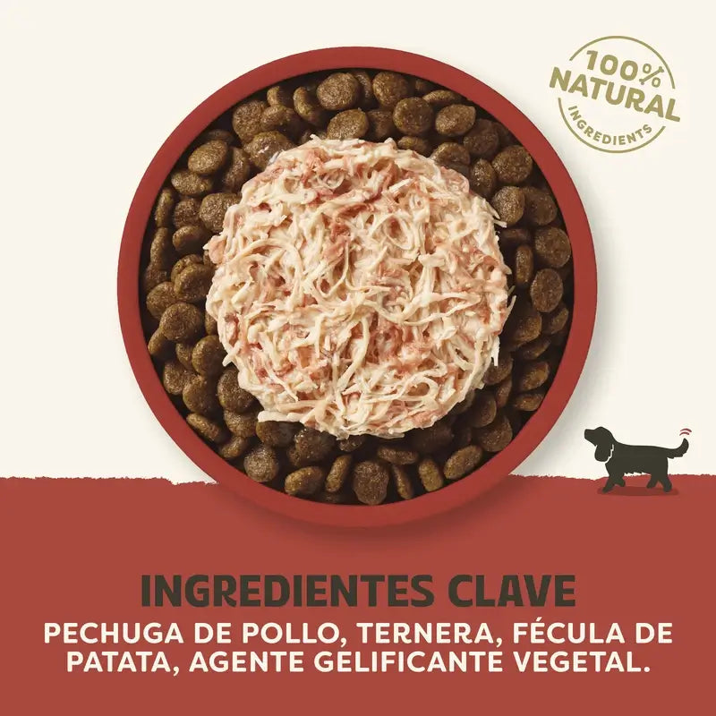 Applaws Dog Topper Tin Chicken & Beef In Sauce 12X156Gr