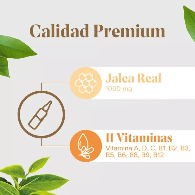 Arkopharma Arkoreal Vitadefensas Gelée Royale Sans Sucre, 20 ampoules