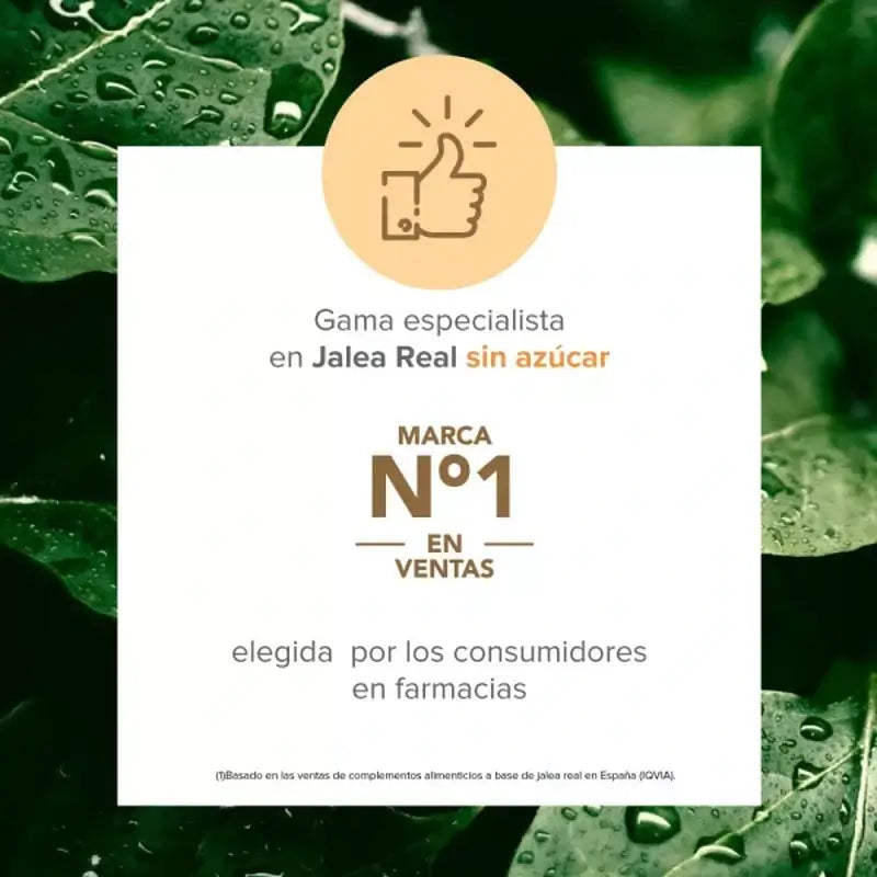 Arkopharma Arkoreal Vitadefensas Gelée Royale Sans Sucre, 20 ampoules