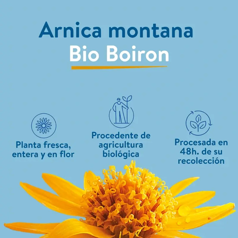 Arnicalia Roll-On apaisant à effet rafraîchissant, 45 g