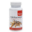 Artesania Cordyceps Plantis 60 Capsules