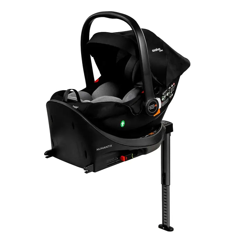 Asalvo Numantix Base Isofix , 1 unité