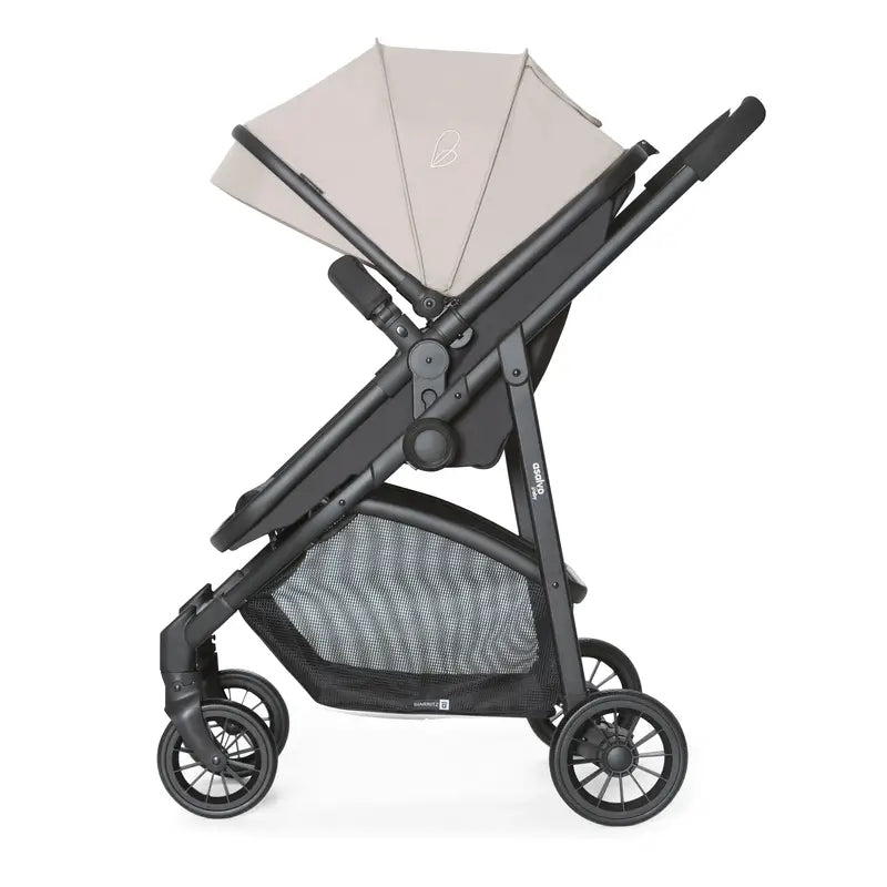 Asalvo Cabriolet Biarritz Stone