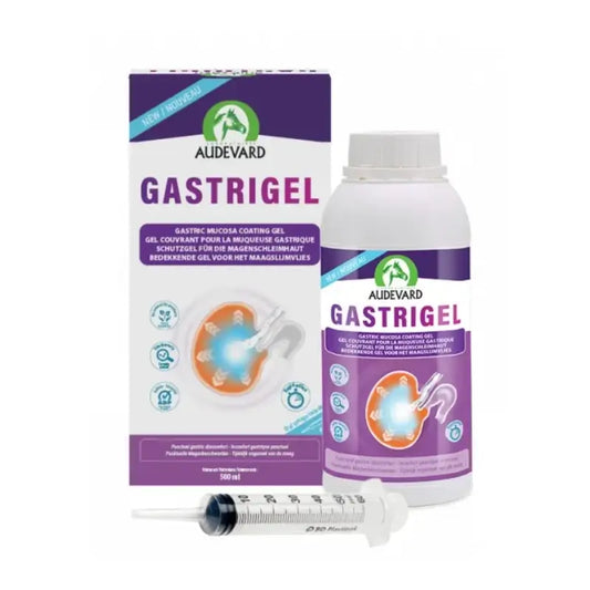 Audevard Gastrigel 500 Ml (Ndr)