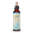 Bach Beech, 20 ml
