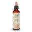 Bach Cherry Plum 20 Ml