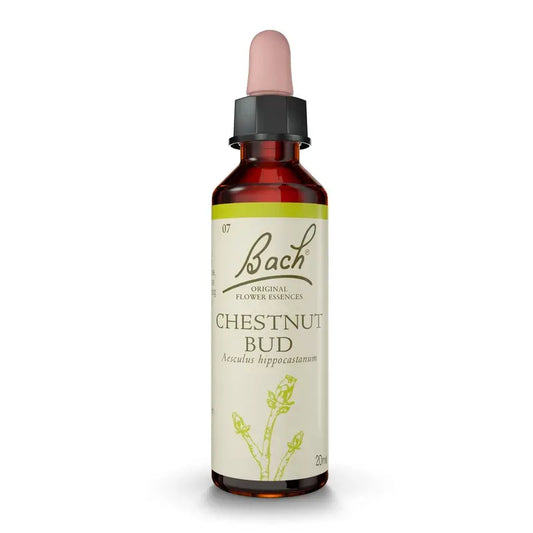 Bourgeon de châtaignier de Bach 20 ml