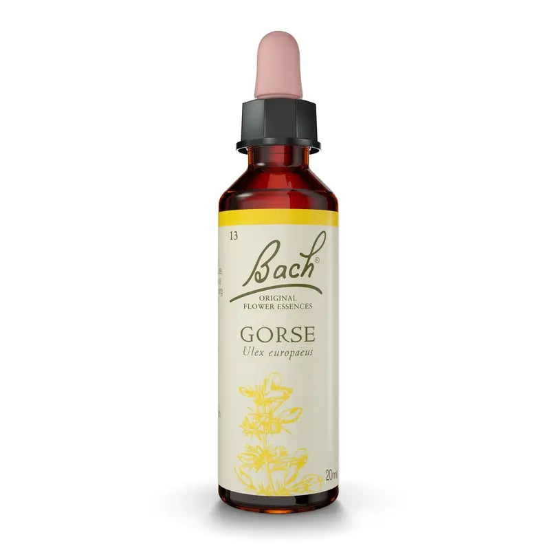 Bach Gorse 20 ml
