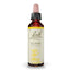 Bach Gorse 20 ml