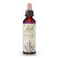 Bach Bruyère 20 Ml