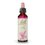 Chêne de Bach 20 ml