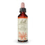 Bach Marron Rouge 20 ml