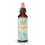 Eau de roche de Bach 20 ml
