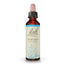 Verveine de Bach 20 ml