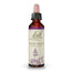 Eau de Bach Violet 20 ml